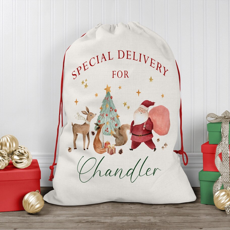 Kids Toys Names - Personalised Name Christmas Drawstring Gift Bag