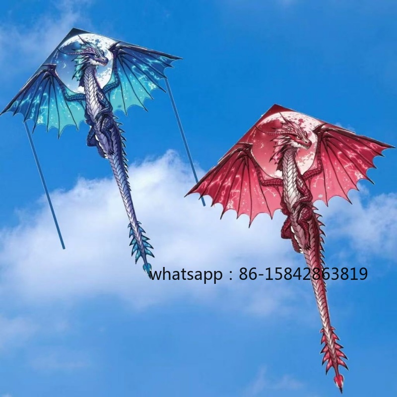 Kite Wind Outdoor - New pterosaur kites flying professional wind