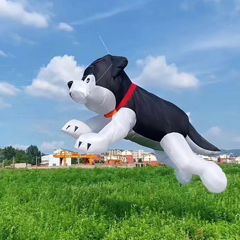 Giant kites flying inflatable  - Kite Wind Outdoor 评论和价格