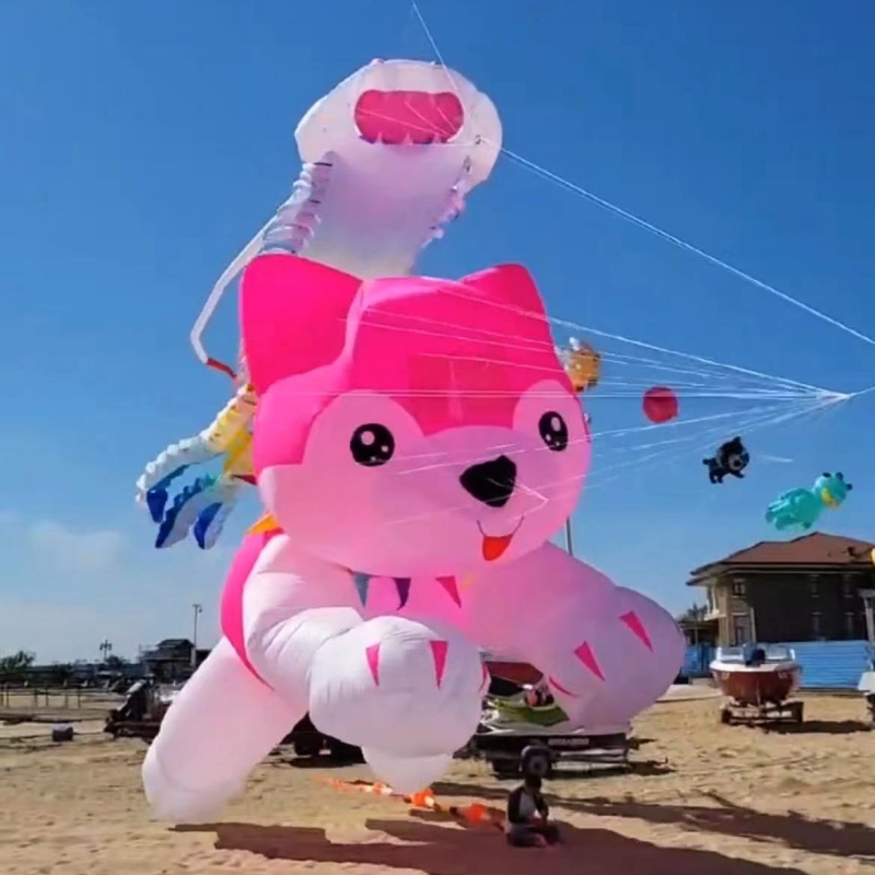 Giant kites flying inflatable  - Kite Wind Outdoor 评论和价格