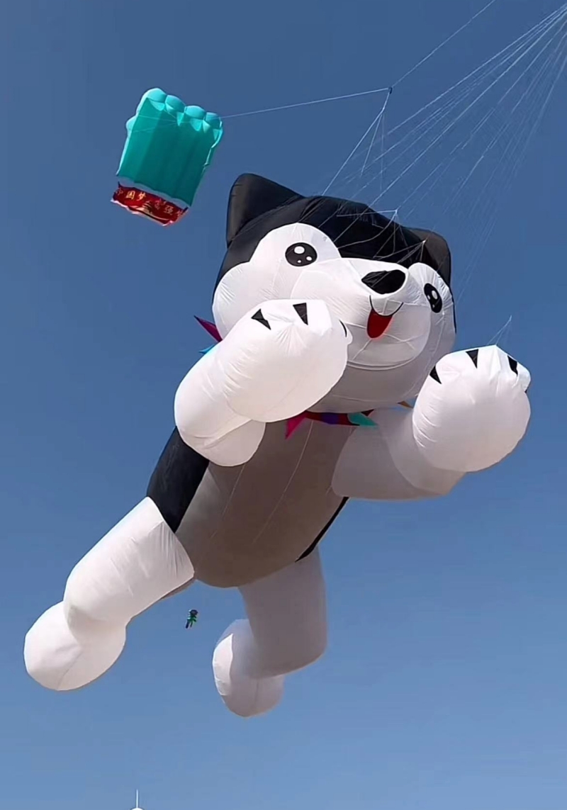 Giant kites flying inflatable  - Kite Wind Outdoor 评论和价格
