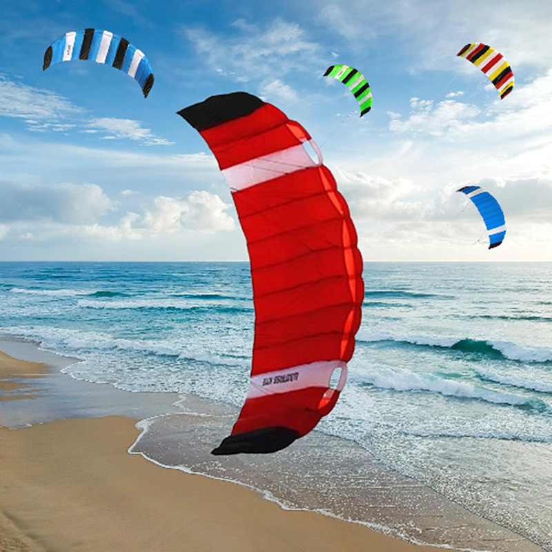 Dual line sport kite flying po - Kite Wind Outdoor 评论和价格