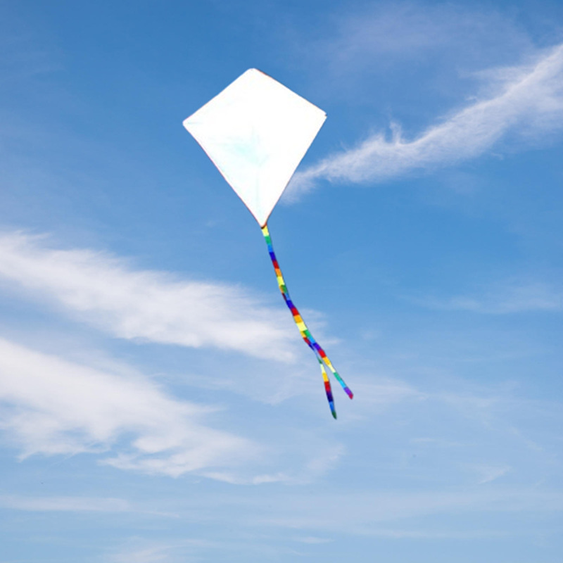 Diy kite nylon fabric Children - Kite Wind Outdoor 评论和价格