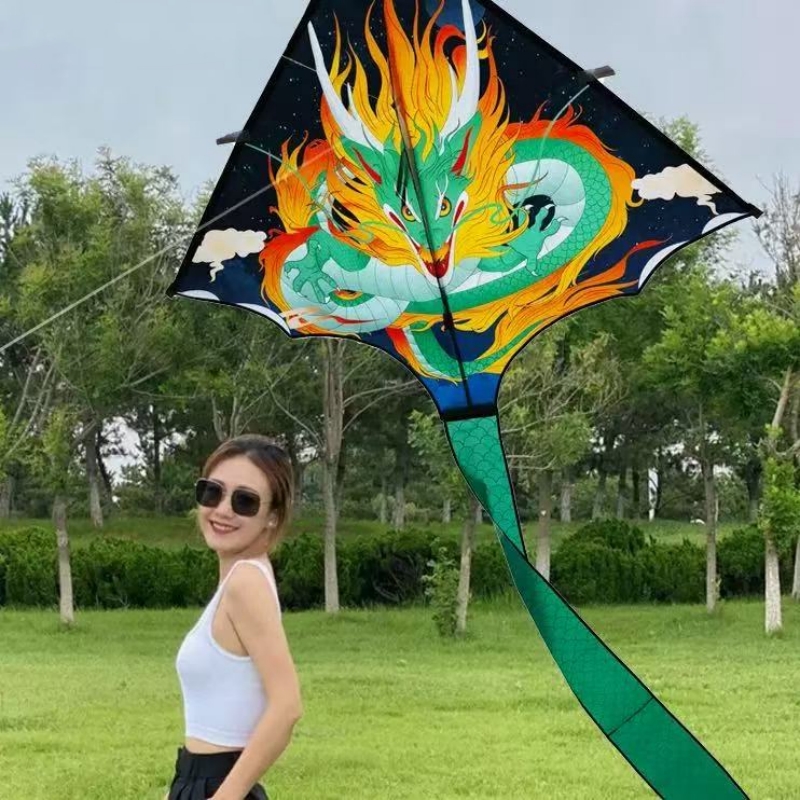 Dragon kite fly toys for child - Kite Wind Outdoor 评论和价格