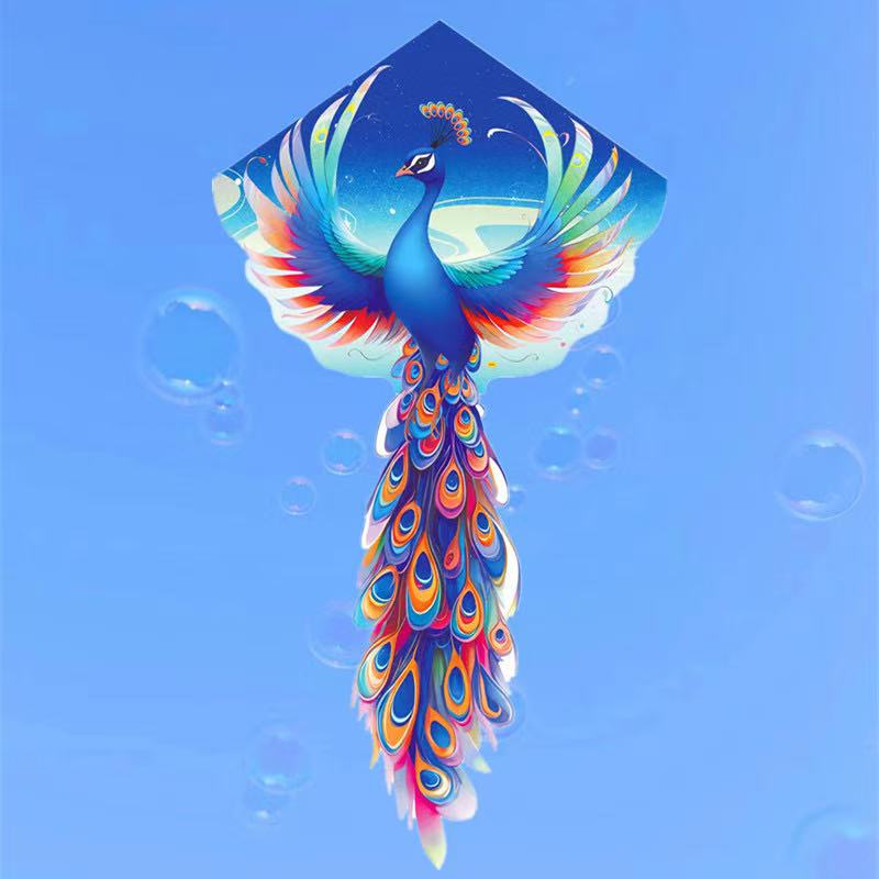 Dragon kite fly toys for child - Kite Wind Outdoor 评论和价格