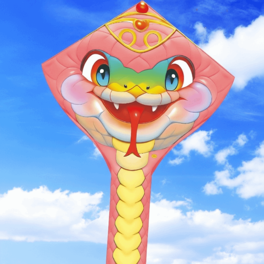 Easy to Fly 4.75M Snake Kite L - Kite Wind Outdoor 评论和价格
