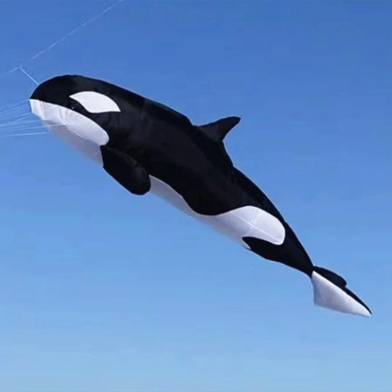 10m killer whale multi-color f - Kite Wind Outdoor 评论和价格