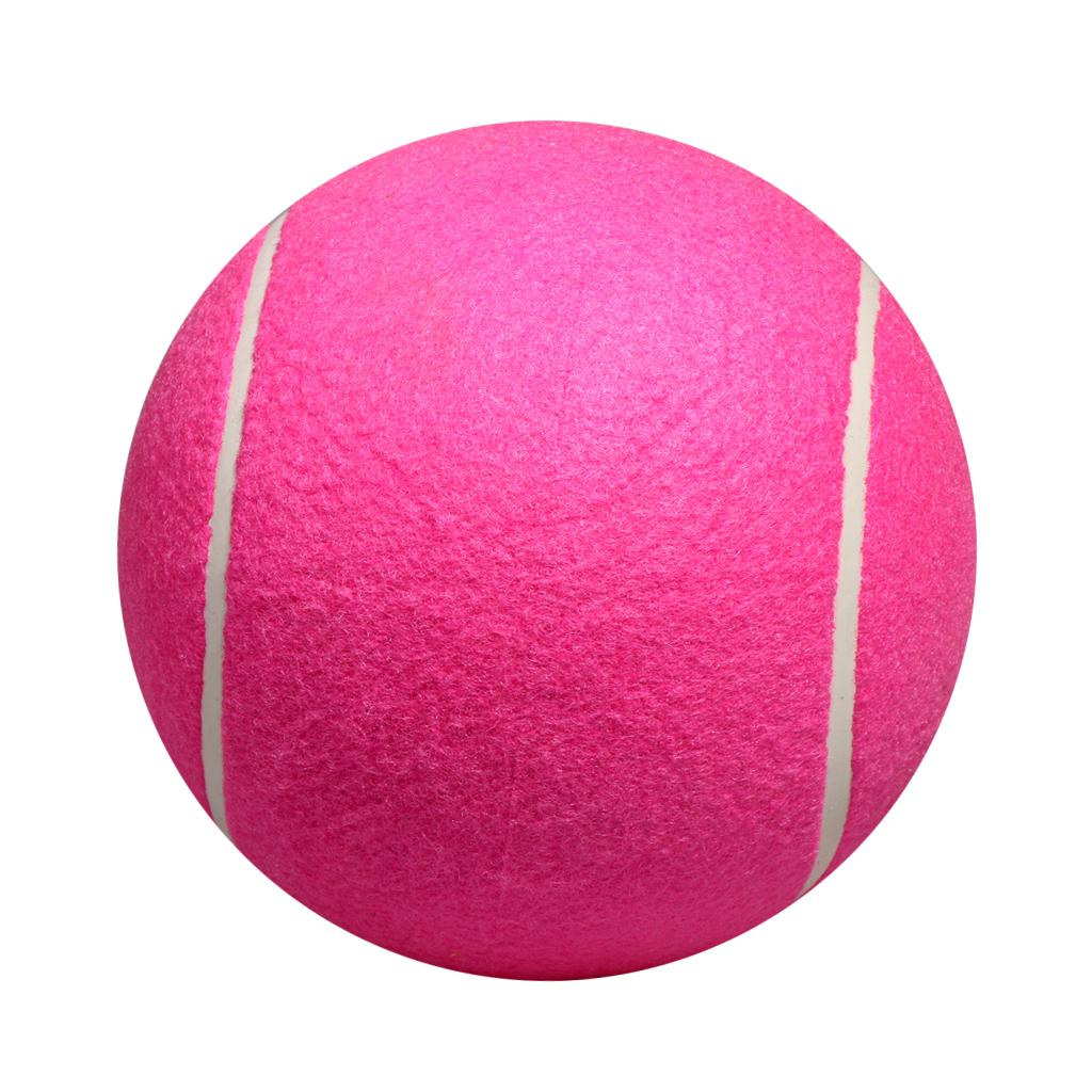 Dog Tennis Ball Toy Inflatable - Kids Toys Exhibition 评论和价格
