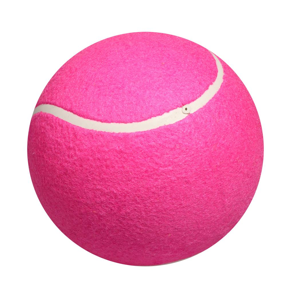 Dog Tennis Ball Toy Inflatable - Kids Toys Exhibition 评论和价格